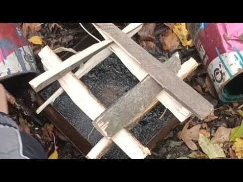 Видео: Разожгли костер и начали варить компот из винограда#15-часть