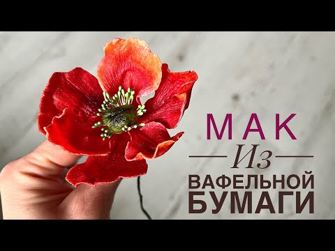 Видео: МАК из ВАФЕЛЬНОЙ БУМАГИ. МК пошагово