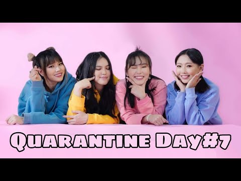 Видео: Quarantine Day#7 "Бүжгийн тулаан"