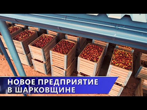 Видео: В городском посёлке Шарковщина открыли предприятие по производству соков (06.11.2025)