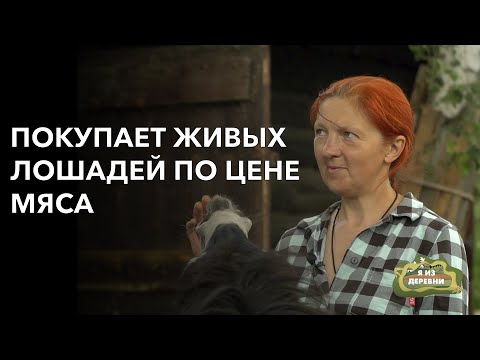 Видео: Покупает живых лошадей по цене мяса. «Я из деревни». деревня Якубянцы.