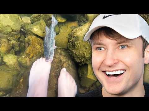 Видео: Смеешься — проигрываешь