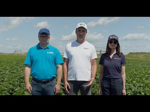 Видео: Как вырастить идеальную сою? Часть 2.