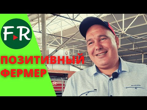 Видео: 250 голов молочных коров. Семейная ферма Латыповых. Содержание и кормление коров. Устройство фермы