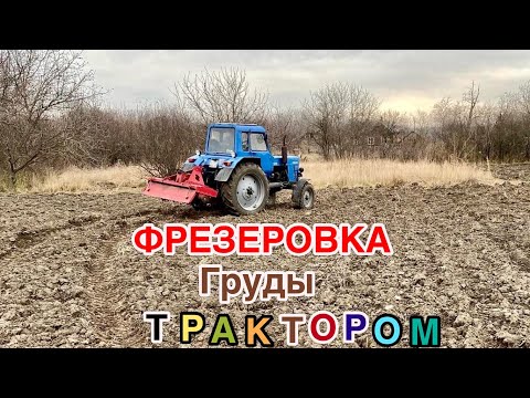 Видео: ФРЕЗЕРОВКА ЗЕМЛИ ОСЕНЬЮ
