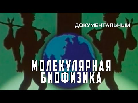 Видео: Молекулярная биофизика (1986 год) документальный
