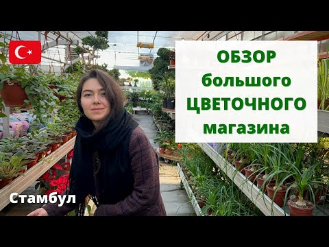 Видео: ОБЗОР большого садового центра Bahçe Market / Магазин РАСТЕНИЙ в Стамбуле