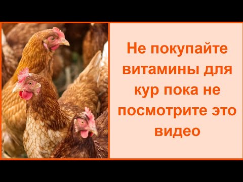 Видео: Чем пропаивать кур - волшебное лекарство и витамины для кур несушек