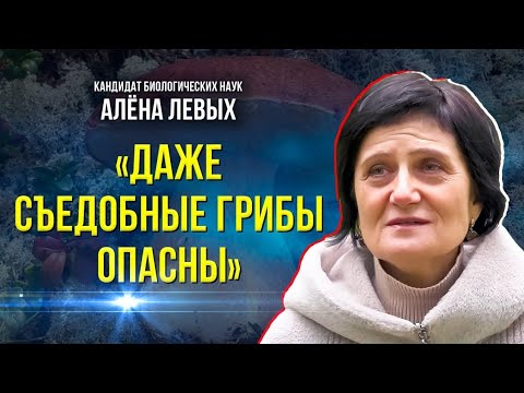 Видео: Сезон «тихой» охоты: что должен знать каждый грибник