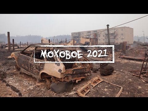 Видео: ПОДМОСКОВНАЯ ПРИПЯТЬ - МОХОВОЕ/Нас окружили собаки... | Обитатели руин