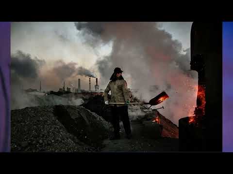 Видео: § 7 "Лесные ресурсы", География 10 класс, Полярная звезда