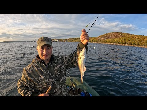 Видео: РЫБАЛКА ПО ПРИЛИВУ С ЛОДКИ / TIDE FISHING FROM A BOAT