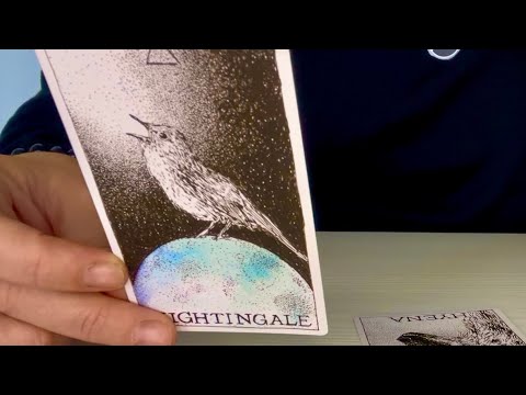 Видео: РЫБЫ! Ноябрь 2025! Фокус на новом! 