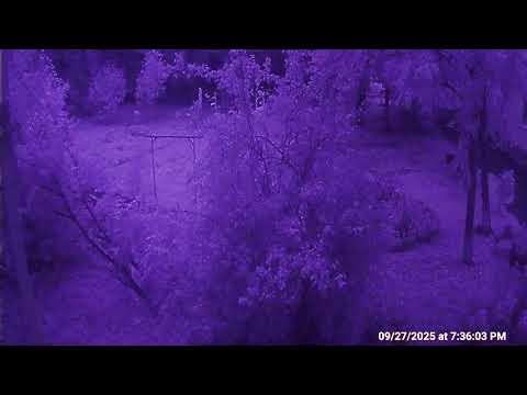 Видео: Тест стрим 1