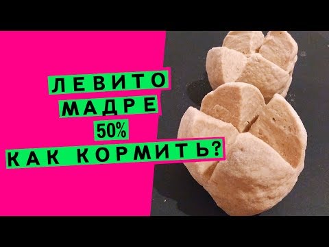 Видео: Закваска левито мадре для хлеба: как кормить? [50% влажности]