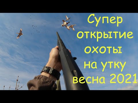 Видео: СУПЕР ОХОТА НА УТКУ ВЕСНОЙ В СИБИРИ 2021г.