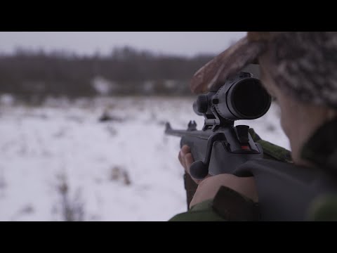 Видео: Зимние загоны в Тверской области. Большая загонная охота. Часть 1