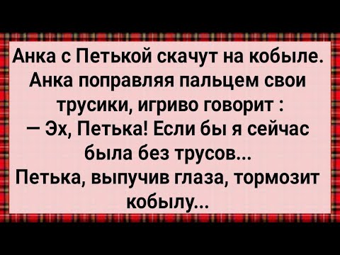 Видео: Как Анка с Петькой На Кобыле Скачут! Сборник Свежих Анекдотов! Юмор!