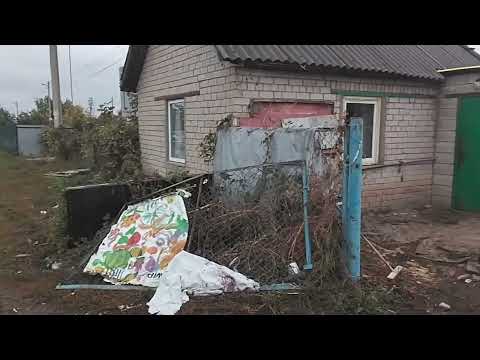 Видео: Есть ли природа на даче? Тольятти 27.09.25