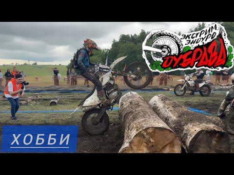 Видео: ДУБРАВА 2025. Грязевое эндуро. Класс хобби