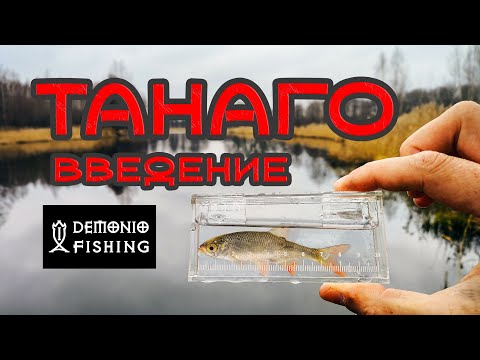 Видео: ТАНАГО ВВЕДЕНИЕ |  Рыбалка и Большой рассказ про Микрофишинг и Танаго.