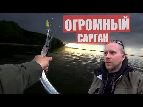 Видео: УДАЧНАЯ РЫБАЛКА 2021! Огромный САРГАН на САМОДЕЛЬНЫЕ БЛЕСНЫ!