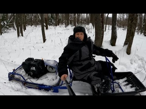 Видео: Мотобуксировщик толкач Альбатрос-XL9 Pro. Прокладываем буранку по лесу!