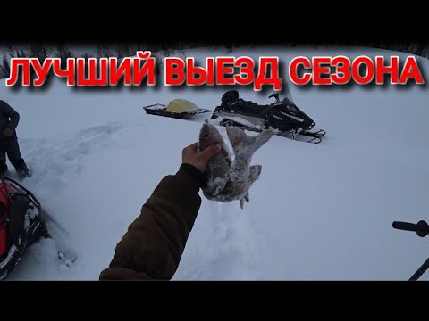 Видео: ХАРИУС! Монстры на горной таёжной реке.
