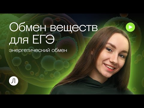 Видео: Обмен веществ для ЕГЭ: энергетический обмен | Катя Грицай | Биология ЕГЭ