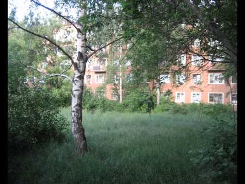 Видео: Карабаново-город над Серой-рекой