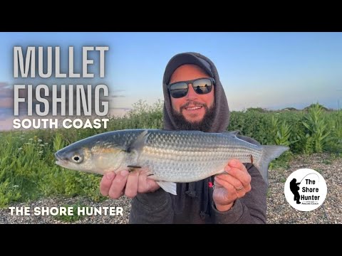 Видео: Ловля кефали в Дорсете с Уэйном Хэндом и Томом Бэгналом