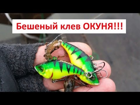 Видео: Ловля окуня раттлинами и воблерами. Strike Pro Flap Jack 40! Окунь зимой на спиннинг (Белгород).