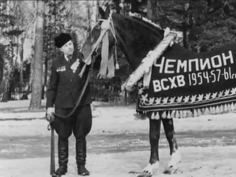 Видео: Дед, Василий и Квадрат