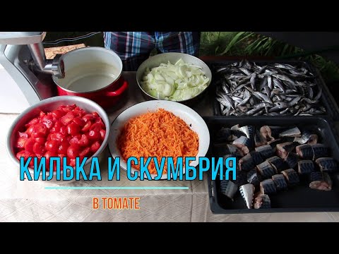 Видео: килька и скумбрия в автоклаве в томатном соусе