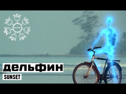 Видео: Dolphin | Дельфин - Sunset