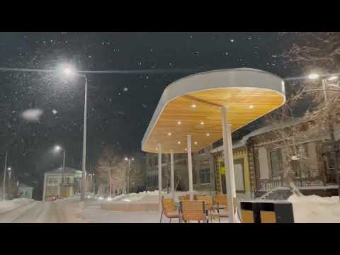 Видео: Новогодняя Бутурлиновка 2024