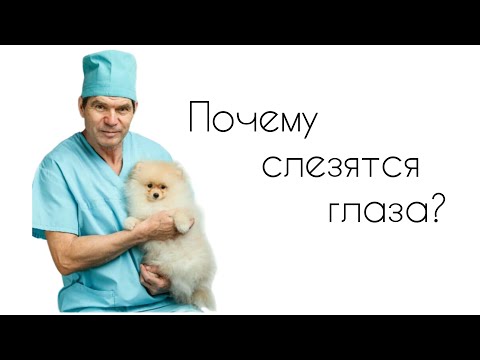 Видео: Почему слезятся глаза?//СЛЕЗНЫЕ ДОРОЖКИ