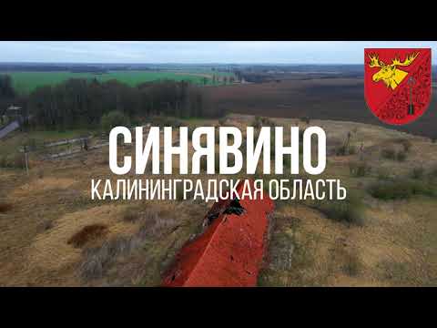 Видео: 4К. Синявино. Гусевский район. Калининградская область