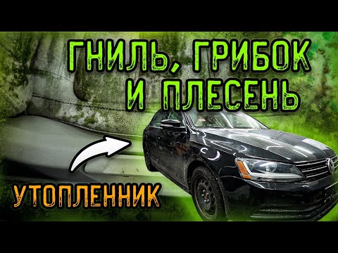 Видео: ГНИЛОЙ САЛОН В ПЛЕСЕНИ И ГРИБКЕ ! РЕСТАВРАЦИЯ УТОПЛЕННИКА ! ИДЕАЛЬНАЯ ХИМЧИСТКА САЛОНА АВТОМОБИЛЯ !
