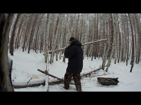 Видео: Зимой в лесу