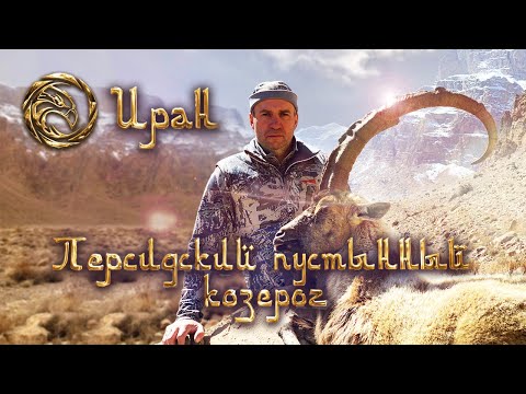 Видео: Трофейная охота в Иране 2. Персидский пустынный козерог [4K]