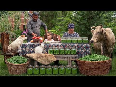 Видео: Сбор, Приготовление и Маринование Стручковой Фасоли — По-деревенски 🌿🫘🏡