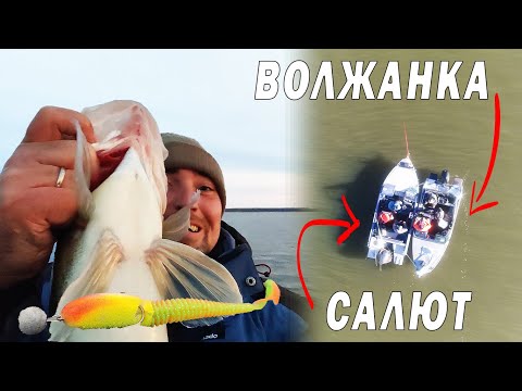 Видео: Эта ЧУДО приманка сделала РЫБАЛКУ!  Волжанка или Салют с капотом?
