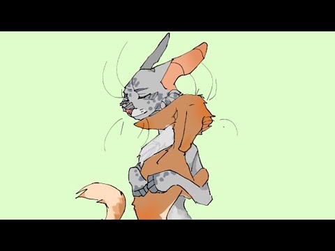 Видео: ТУПЫЕ ШИППЫ #2 - КОТЫ-ВОИТЕЛИ