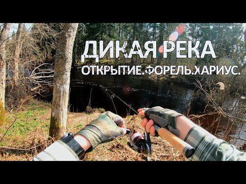 Видео: Первая рыбалка 2025 года!Форель ,Хариус и 2 реки!