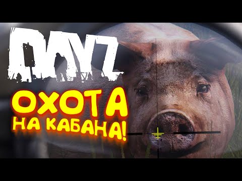 Видео: ОХОТА НА КАБАНА! - DAYZ 2022 - Петя #7