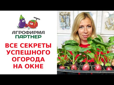 Видео: ВСЕ СЕКРЕТЫ УСПЕШНОГО ОГОРОДА НА ОКНЕ