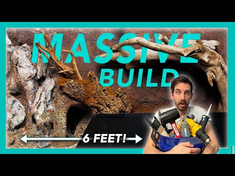 Видео: Я попытался построить гигантский палюдариум для боа за 7 дней