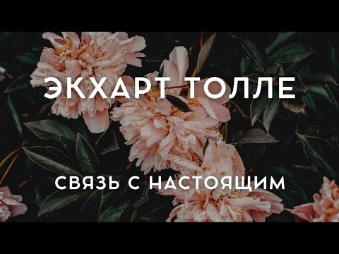 Видео: Экхарт Толле - КАК ПОДДЕРЖАТЬ СВЯЗЬ С НАСТОЯЩИМ [Лекции 04] Nikosho