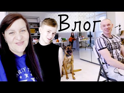 Видео: ПЕРЕЕЗД в ТЮМЕНЬ 😨 Придётся ОТКАТИТЬСЯ в ПРОШЛОЕ 🤕 ЗАГОТОВКИ выручают 🔥 дрессировка малинуа ВЛОГ